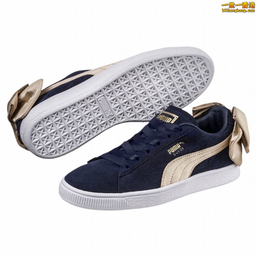 PUMA6.jpg