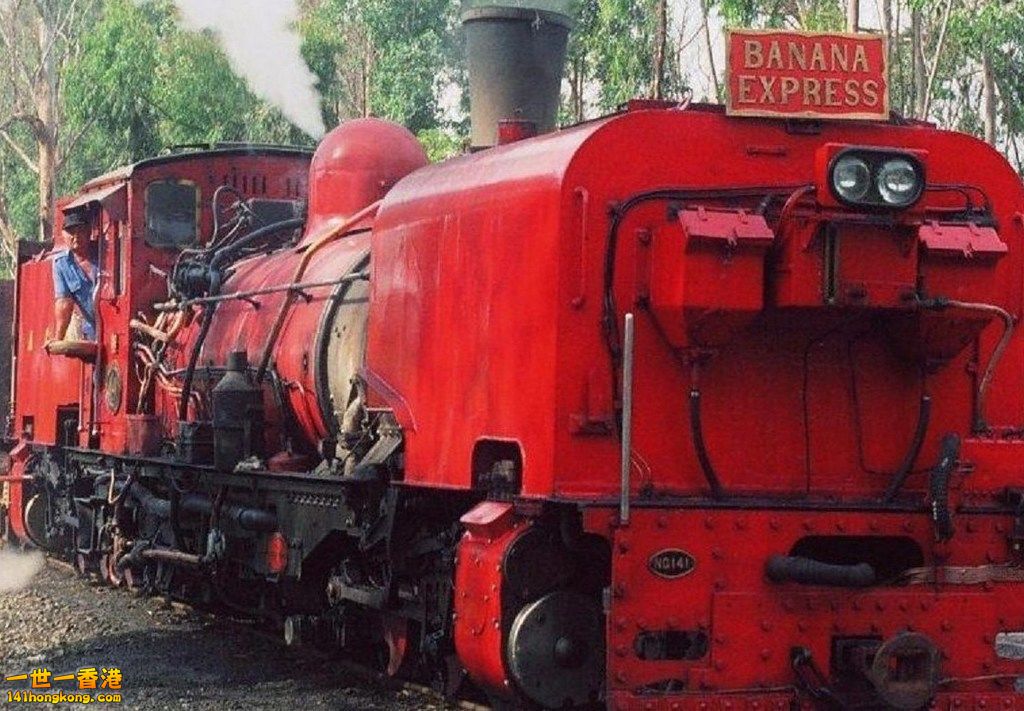 Alfred County narrow gauge garratt NG141b.jpg