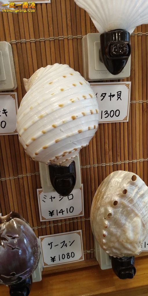 相片1023.jpg