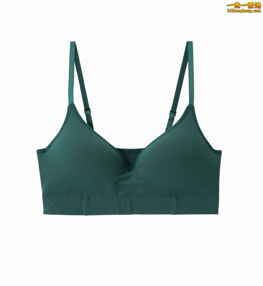 Bra-Feel9.jpg