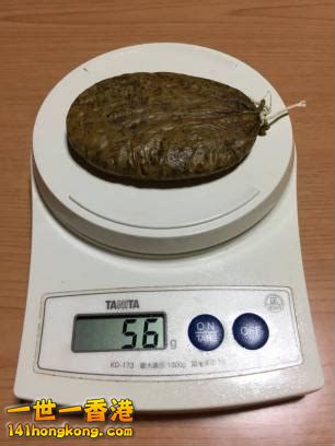 20180818142558-th_id=OIP.jpg