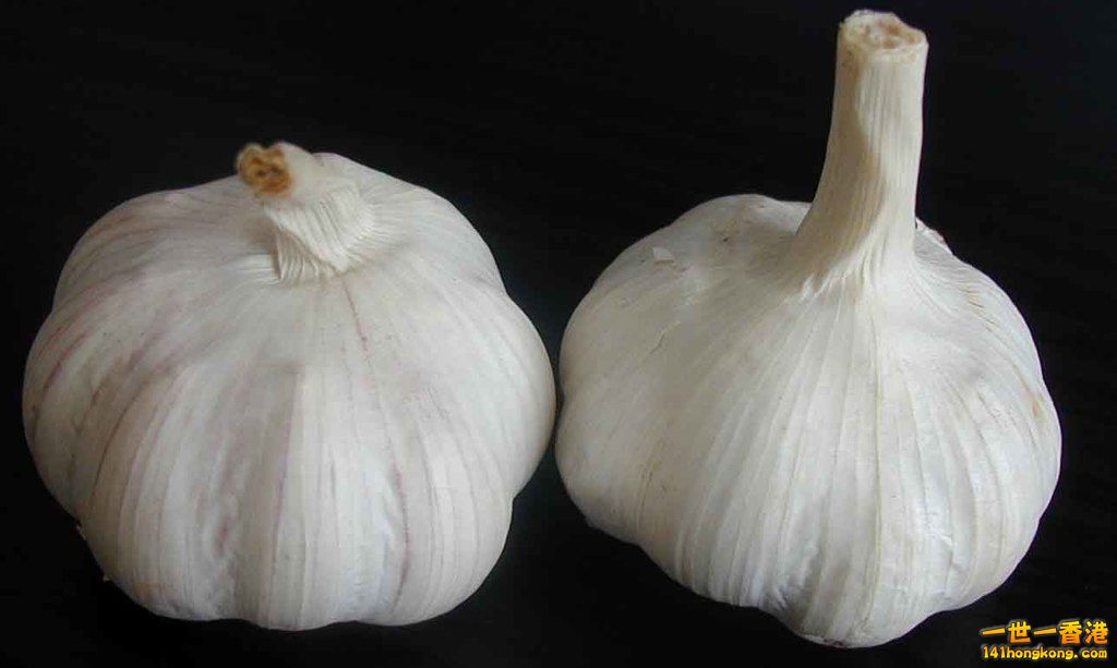 Garlic.jpg