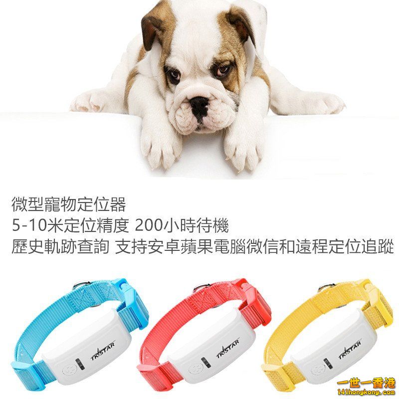 動物gps定位.jpg