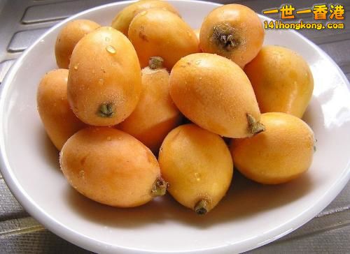 枇杷果.jpg