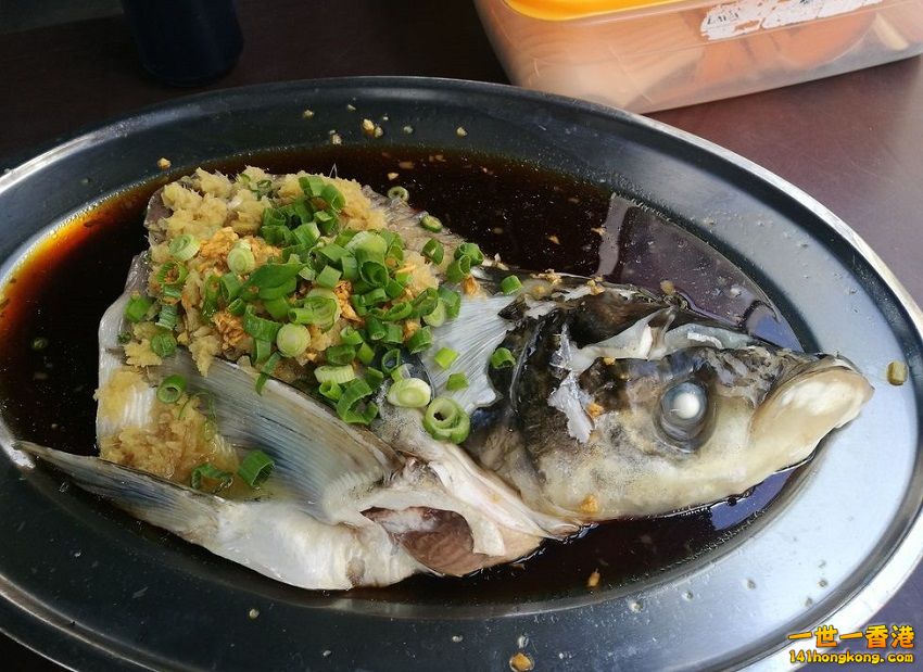 07481976pxvibx6fokk7cp 850.jpg