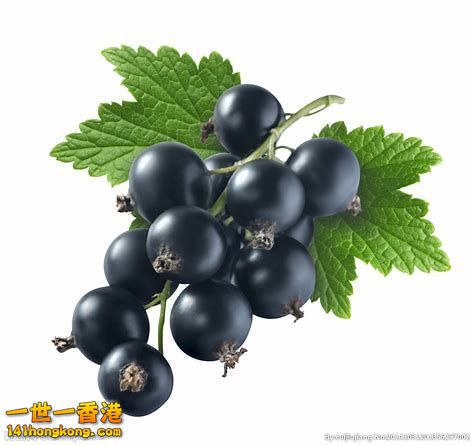 20180831181002-th_id=OIP.jpg