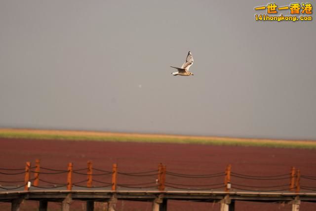 E570711E-9E07-411F-A021-6B6F32E07B67.jpeg