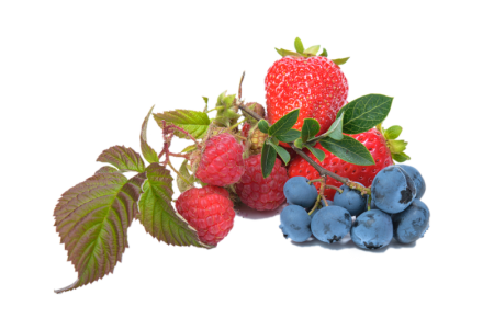 E77EB541-2C4F-4C9D-8D1D-F04E1DF47DCD.png