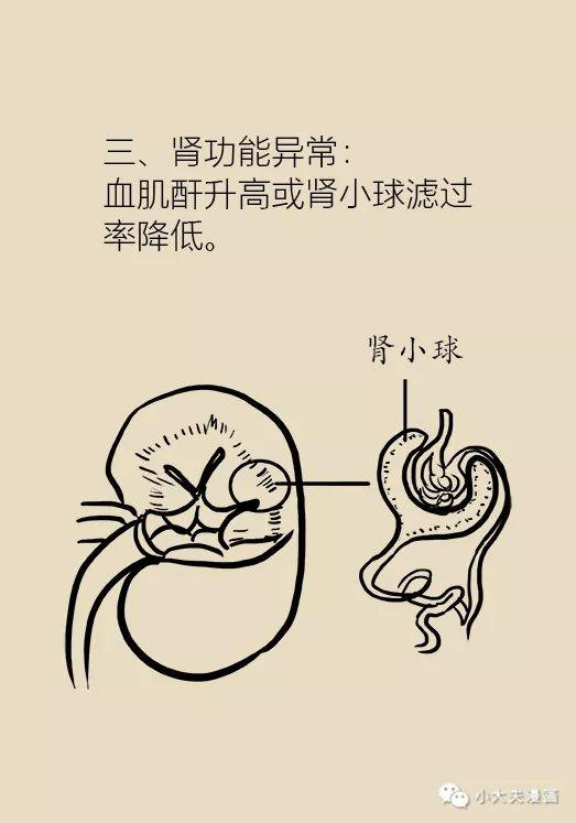 6E9B600E-9FAD-4550-928D-FAC0B62261E5.jpeg