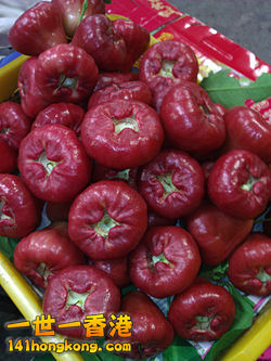 250px-Lainwu_%28Wax_apple%29_WP_001223.jpg