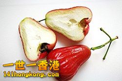 250px-Syzygium_samarangense_%28cut_in_half%29.jpg