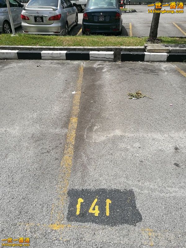 081251etmmzz0ptm4pd99h 8000.jpg