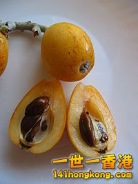 200px-Eriobotrya_japonica3.jpg