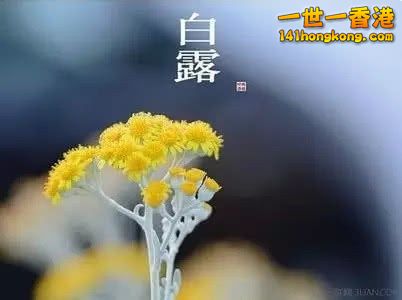 276F81A0-9293-4BFF-8EEF-B1304DF7320F.jpeg