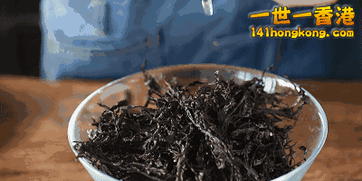 86564A0D-4E4E-4208-9E52-277E6E096645.gif