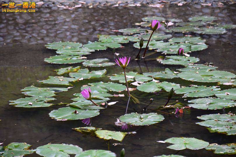 064.JPG