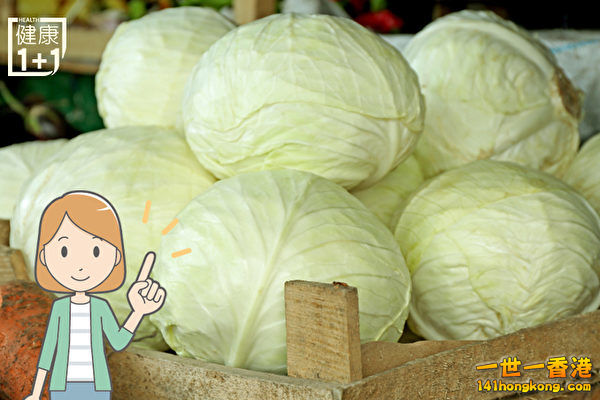 cabbage3-600x400.jpg