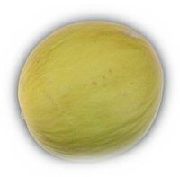 200px-Melon.jpg