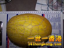 220px-Whole_melon.jpg