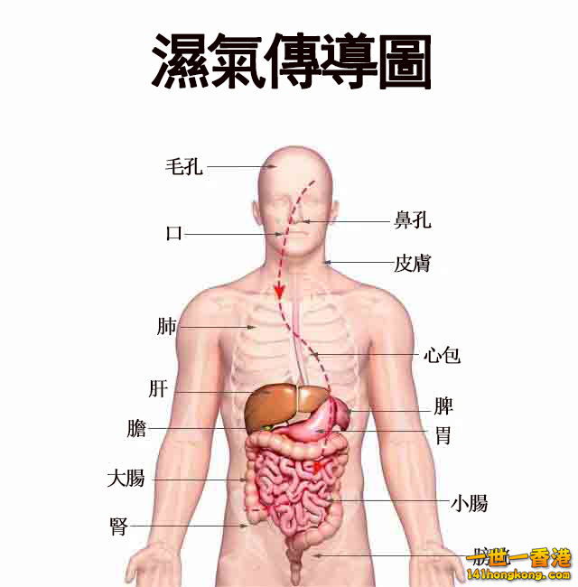 3184D349-7A19-4047-BDAD-6E493FD4A430.jpeg
