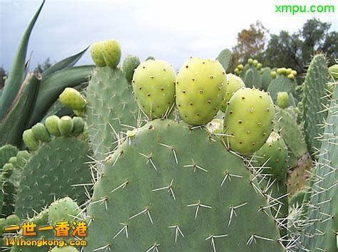 20180914164707-th_id=OIP.jpg