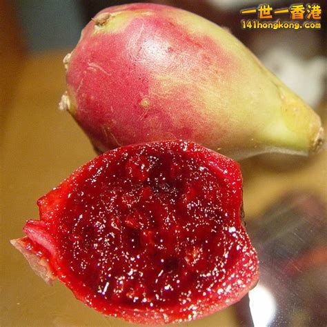 20180914165059-th_id=OIP.jpg