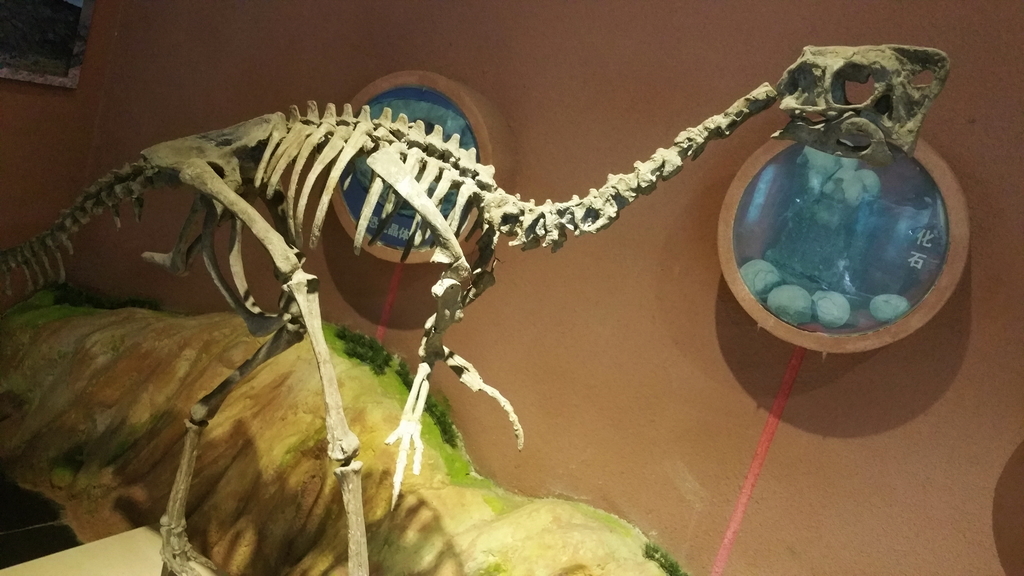 80902_144594a.jpg
