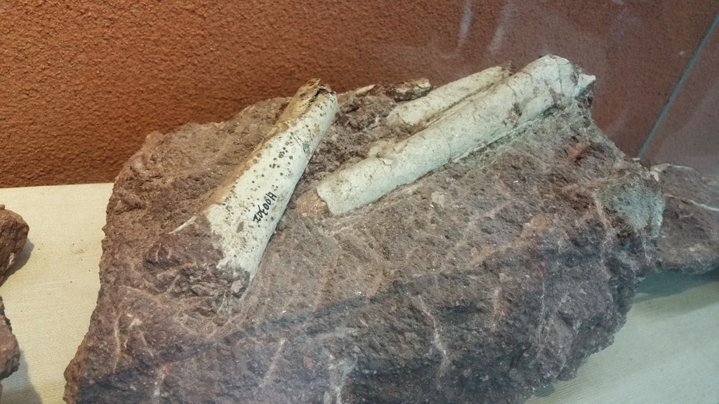 80902_144600a.jpg
