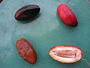 180px-Freshdates.jpg
