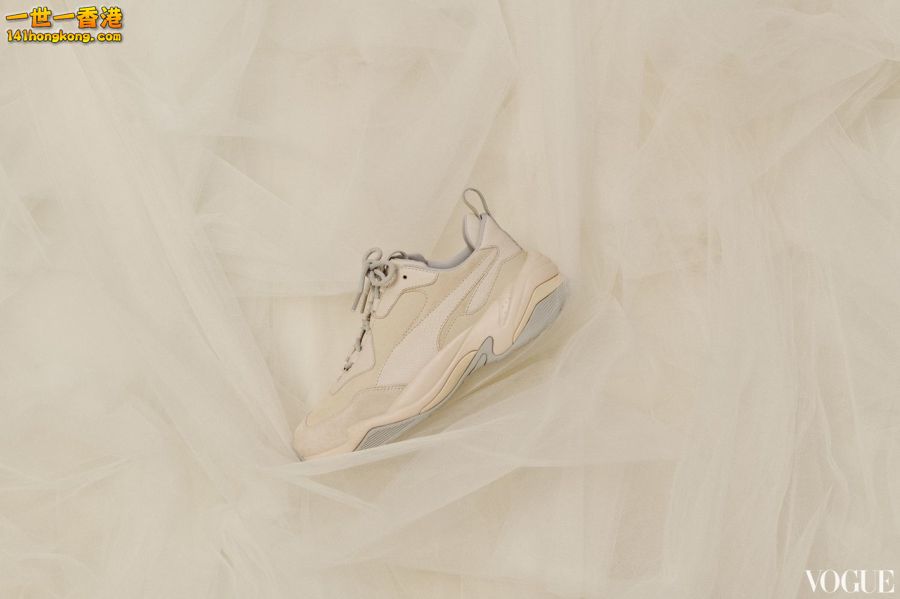 PUMA10.jpg