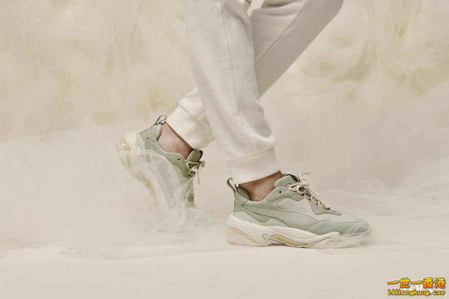PUMA11a.jpg