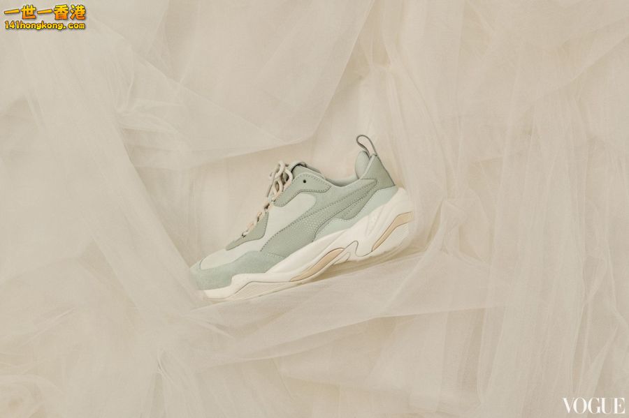 PUMA12.jpg