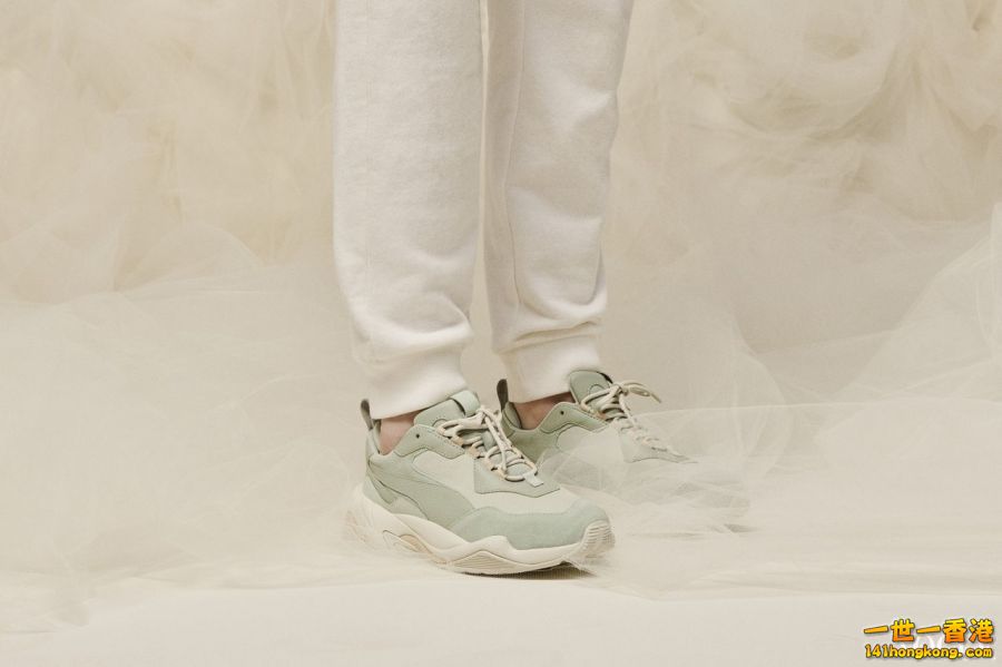 PUMA14.jpg