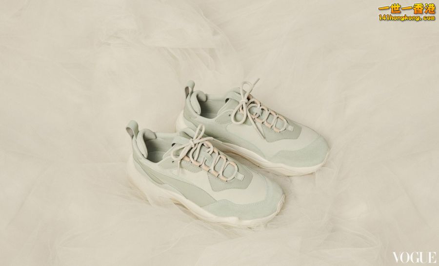 PUMA13.jpg