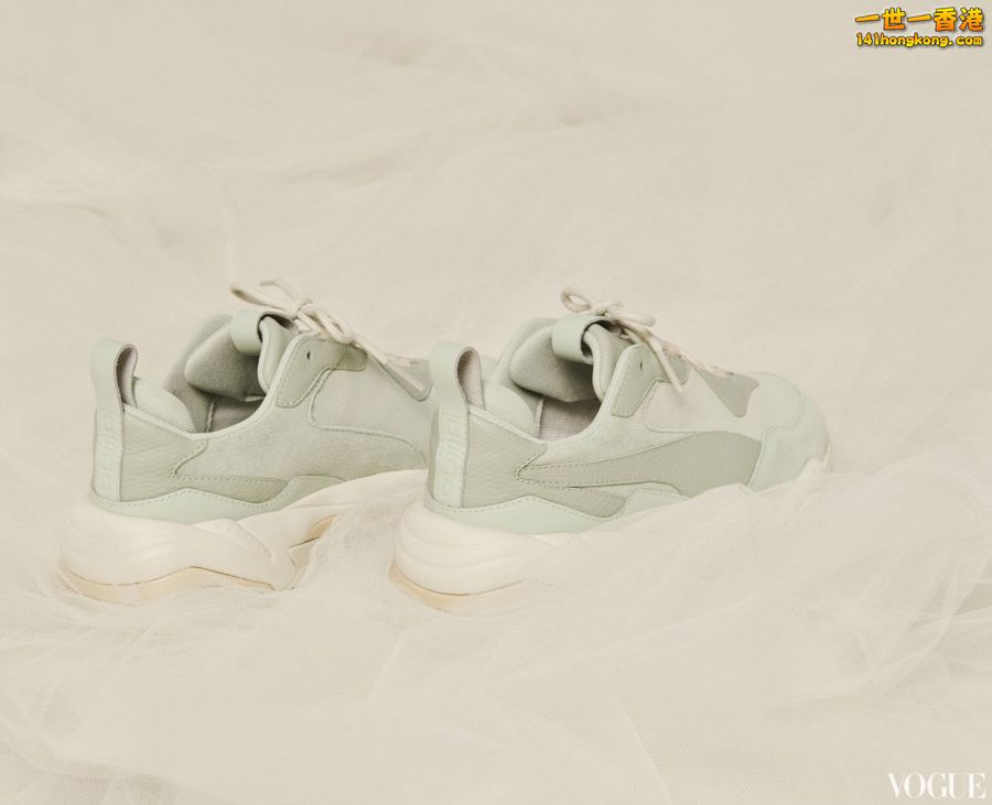 PUMA15.jpg