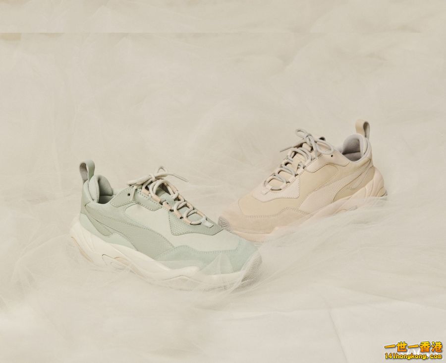 PUMA16.jpg