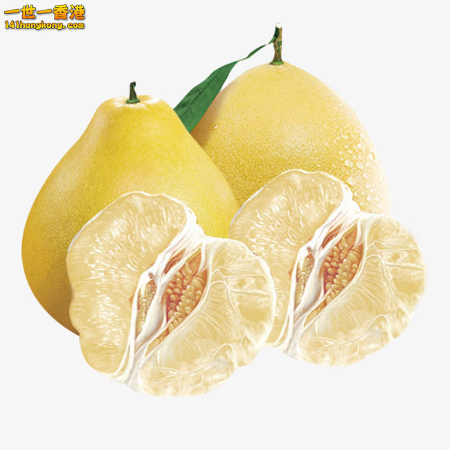 19e9e81f4e7bc81ff4be652e3bb4cdec.jpg
