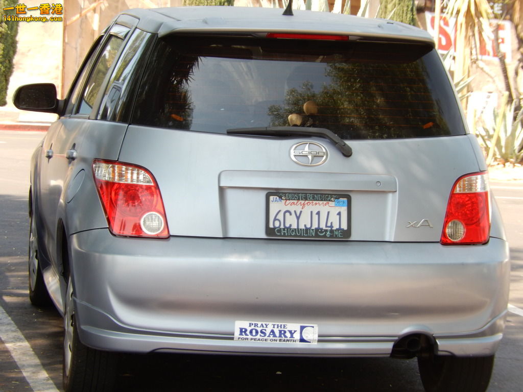 DSCN1217.JPG