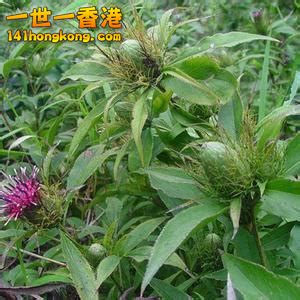 20180928164916-th_id=OIP.jpg