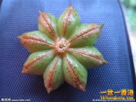 20180929142501-th_id=OIP.jpg