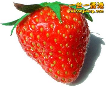 1102C7F6-BE9E-4748-8DDB-87B1D8912ABB.jpeg