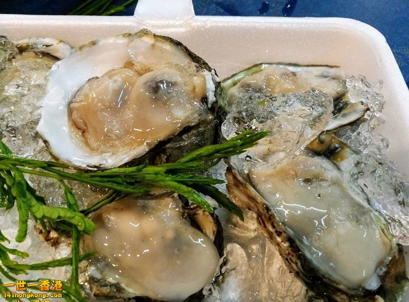 082726tatj559t5rzz4oqt (1) 800.jpg