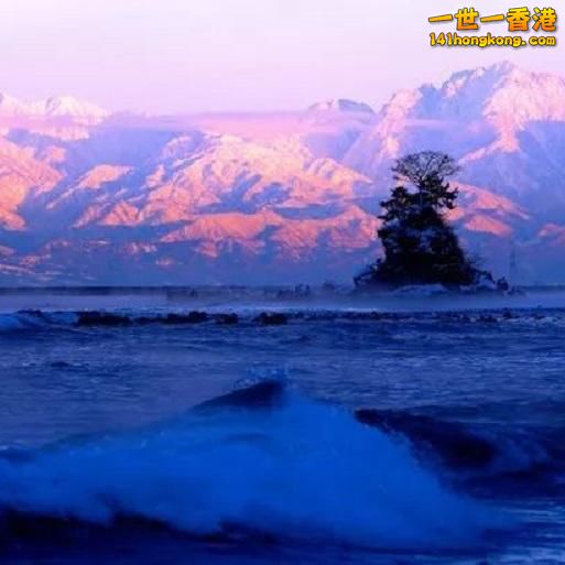 0B1A5AB5-9064-4AED-8600-00EB15F19F9E.jpeg