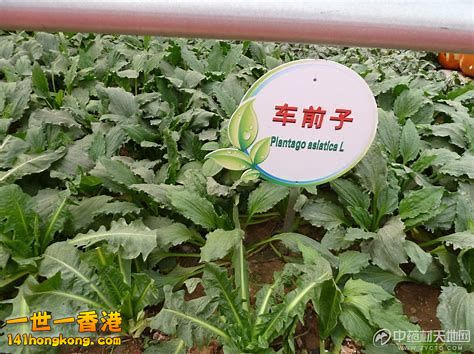 20181005150653-th_id=OIP.jpg