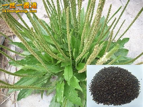 20181005150709-th_id=OIP.jpg
