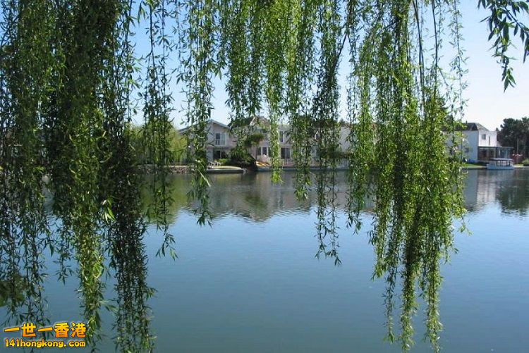 f31fbe096b63f624988f46ac8d44ebf81b4ca34b 750.jpg