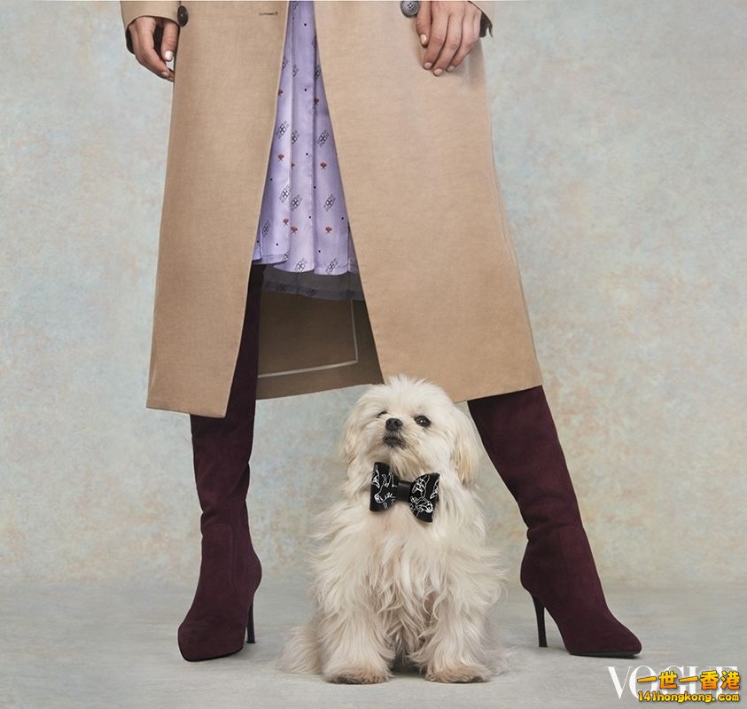 Charles&Keith04.jpg