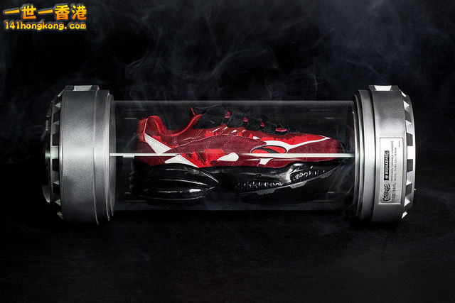 PUMA02.jpg