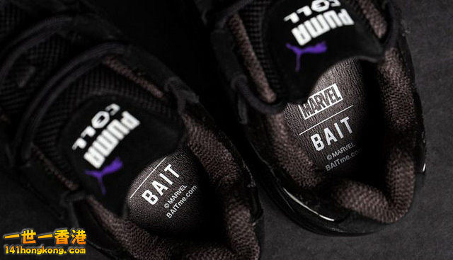 PUMA11.jpg
