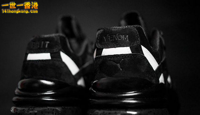 PUMA12.jpg
